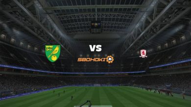 Live Streaming Norwich City vs Middlesbrough 30 Januari 2021 1