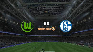 Live Streaming Wolfsburg vs Schalke 04 3 Februari 2021 6