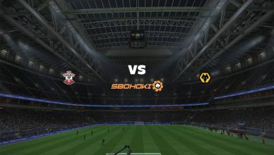 Live Streaming Southampton vs Wolverhampton Wanderers 14 Februari 2021 1