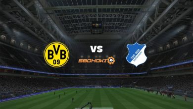Live Streaming Borussia Dortmund vs Hoffenheim 13 Februari 2021 6