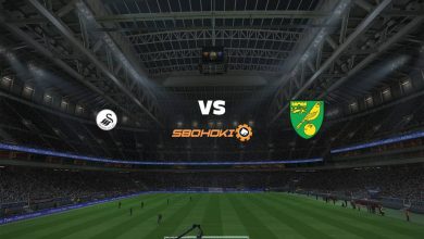 Live Streaming Swansea City vs Norwich City 5 Februari 2021 4