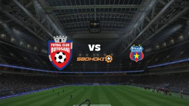 Live Streaming FC Botosani vs FCSB 28 Februari 2021 10