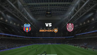 Live Streaming FCSB vs CFR Cluj-Napoca 19 Maret 2021 10
