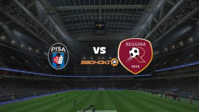 Live Streaming Pisa vs Reggina 6 Maret 2021 6