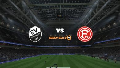 Live Streaming SV Sandhausen vs Fortuna Düsseldorf 13 Maret 2021 9