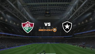 Photo of Live Streaming 
Fluminense vs Botafogo 17 April 2021