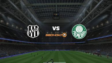 Photo of Live Streaming 
Ponte Preta vs Palmeiras 25 April 2021