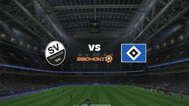 Live Streaming SV Sandhausen vs Hamburg SV 16 April 2021 5