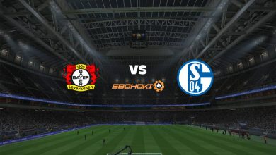 Live Streaming Bayer Leverkusen vs Schalke 04 3 April 2021 3