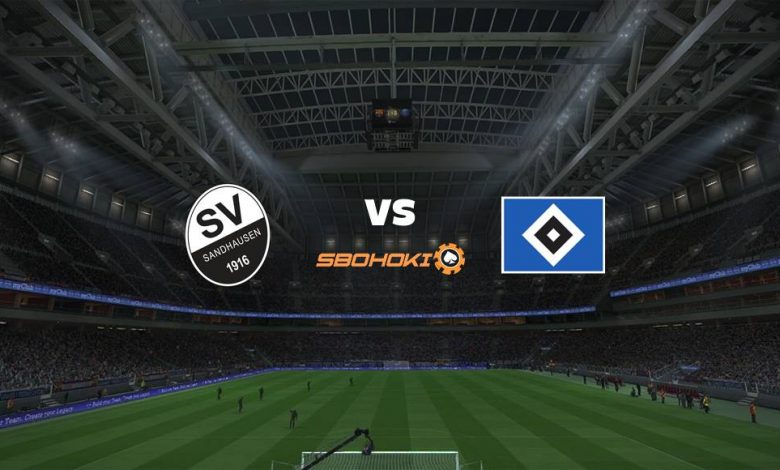 Live Streaming 
SV Sandhausen vs Hamburg SV (PPD) 16 April 2021 1
