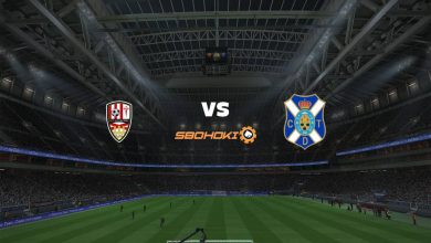 Live Streaming UD Logroñés vs Tenerife 3 April 2021 4