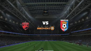 Live Streaming Dinamo Bucuresti vs Chindia Targoviste 20 April 2021 5