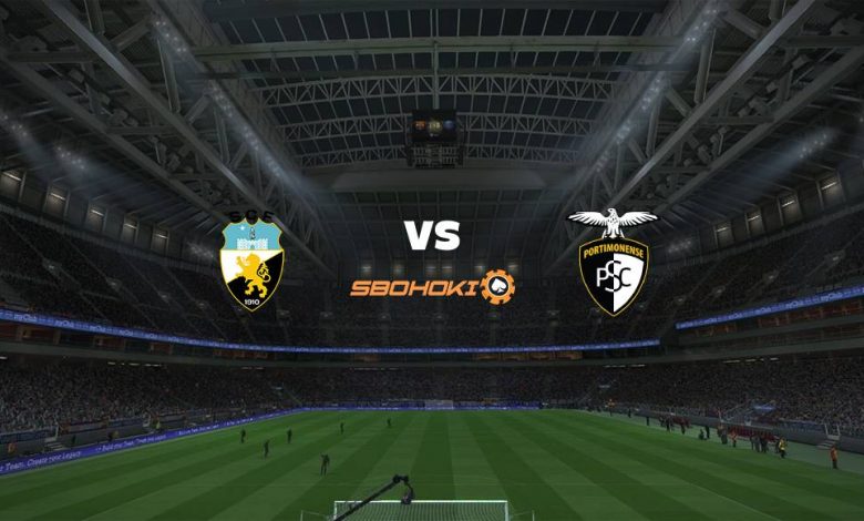 Live Streaming 
SC Farense vs Portimonense 27 April 2021 1