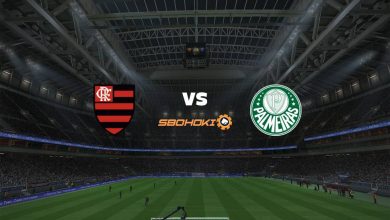 Photo of Live Streaming 
Flamengo vs Palmeiras 11 April 2021