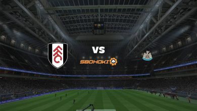 Photo of Live Streaming 
Fulham vs Newcastle United 23 Mei 2021