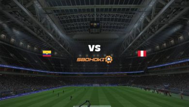 Live Streaming Ecuador vs Peru 8 Juni 2021 9