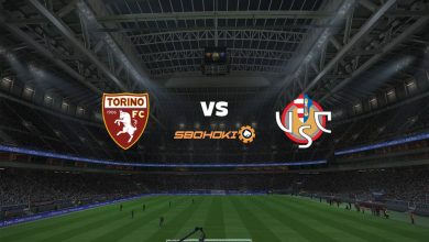 Live Streaming Torino vs Cremonese 15 Agustus 2021 6