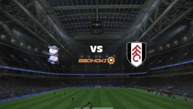 Live Streaming Birmingham City vs Fulham 24 Agustus 2021 2