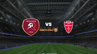 Live Streaming Reggina vs Monza 22 Agustus 2021 4